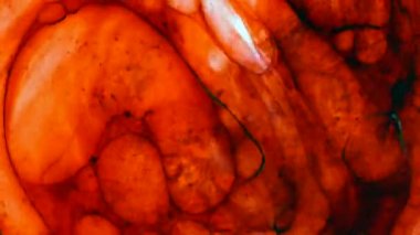 Mikroskobik desenleri, renkleri ve boyalar