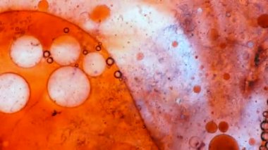 Mikroskobik desenleri, renkleri ve boyalar