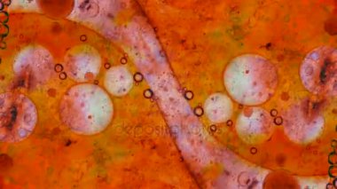 Mikroskobik desenleri, renkleri ve boyalar