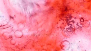 Mikroskobik desenleri, renkleri ve boyalar