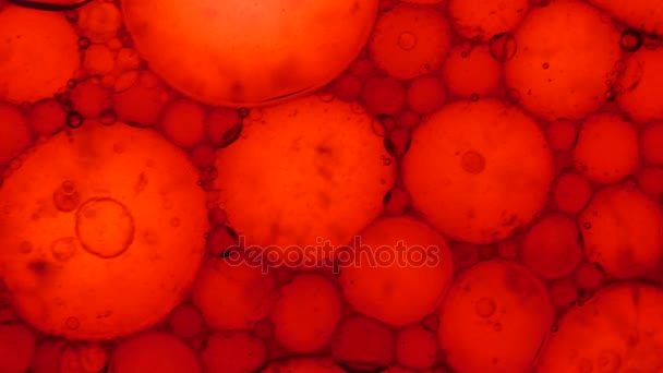 Modelli microscopici di colori e vernici — Video Stock