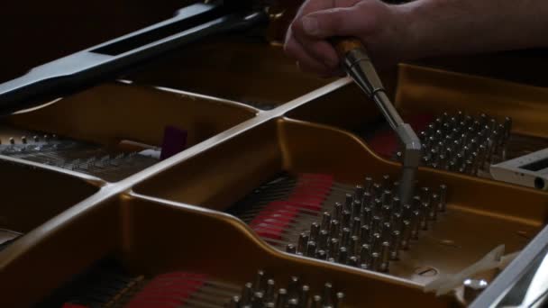 Ladění klavíru. Detailní záběr záběr ladění klavíru. — Stock video