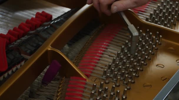 A afinar piano. Fechar Shot of Tuning Piano . — Vídeo de Stock