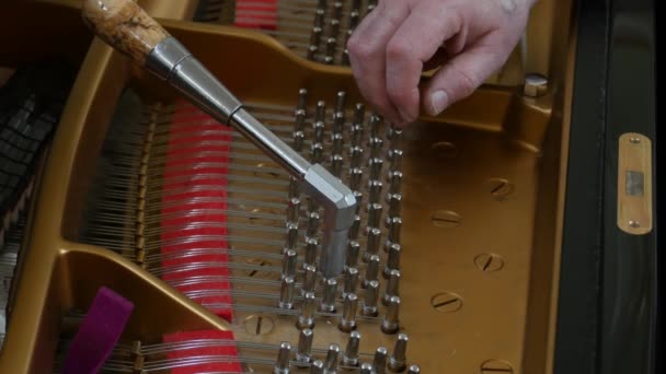 Tuning Piano. Close up Shot of Tuning Piano. — Stock Video