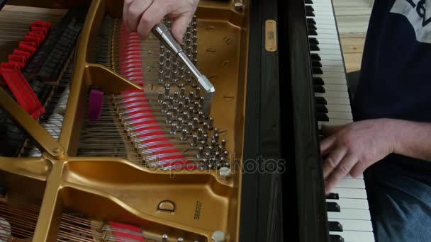 ピアノをチューニングします。ピアノのチューニングのショットを閉じる. — ストック動画