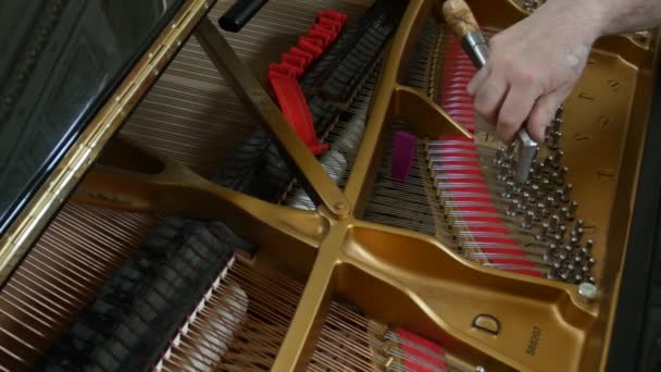 A afinar piano. Fechar Shot of Tuning Piano . — Vídeo de Stock