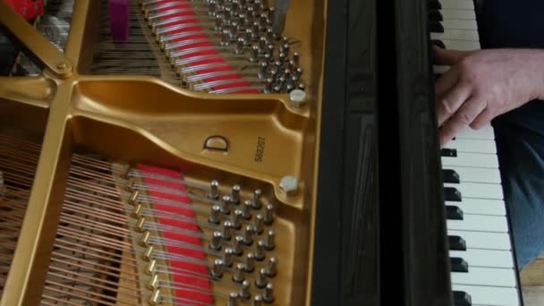 Tuning Piano. Gros plan Prise de vue du piano accordeur . — Video