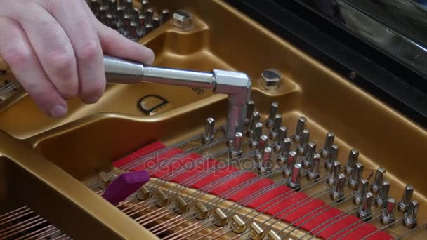 A afinar piano. Fechar Shot of Tuning Piano . — Vídeo de Stock