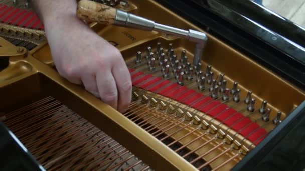 Ladění klavíru. Detailní záběr záběr ladění klavíru. — Stock video