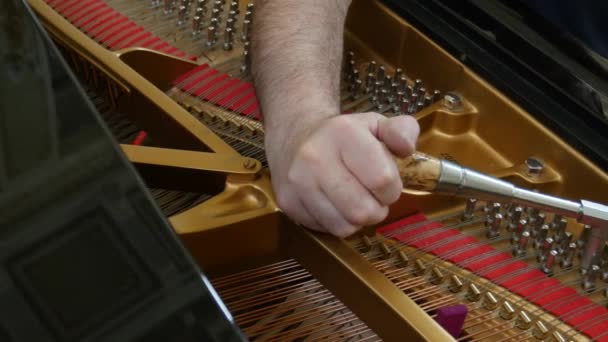 Tuning Piano. Gros plan Prise de vue du piano accordeur . — Video