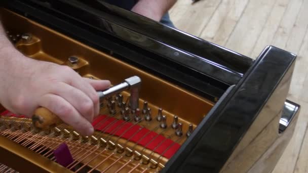 Tuning Piano. Gros plan Prise de vue du piano accordeur . — Video