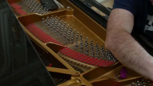 A afinar piano. Fechar Shot of Tuning Piano . — Vídeo de Stock