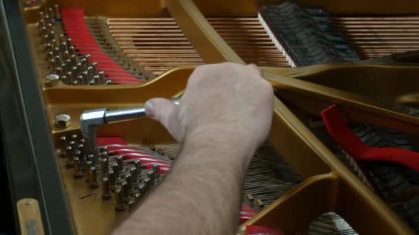 Tuning Piano. Nära upp skott av Tuning Piano. — Stockvideo