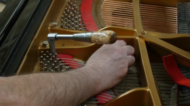 Tuning Piano. Gros plan Prise de vue du piano accordeur . — Video