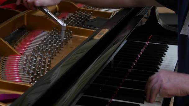 Tuning Piano. Gros plan Prise de vue du piano accordeur . — Video