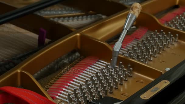 Tuning Piano. Close up Shot of Tuning Piano. — Stock Video