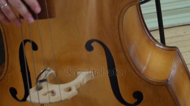 Man Playing a Double Bass.close up — Stock Video