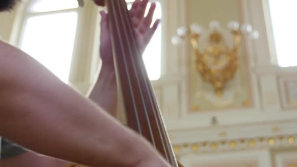 Man Playing a Double Bass.close up — Stock Video