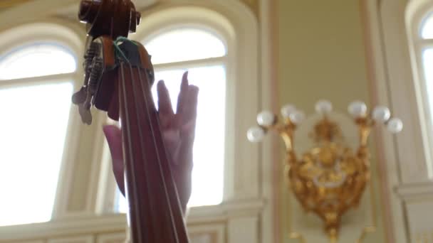 Man Playing a Double Bass.close up — Stock Video