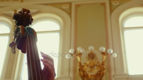 Man Playing a Double Bass.close up — Stock Video