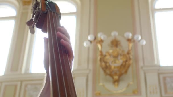 Man Playing a Double Bass.close up — Stock Video