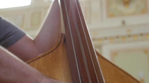 Man Playing a Double Bass.close up — Stock Video