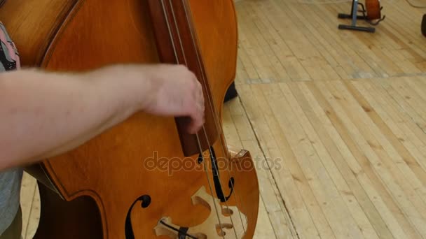 Man spelen een dubbele Bass.close omhoog — Stockvideo