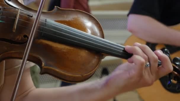 음악가 바이올린을 재생합니다. 클로즈업 — 비디오