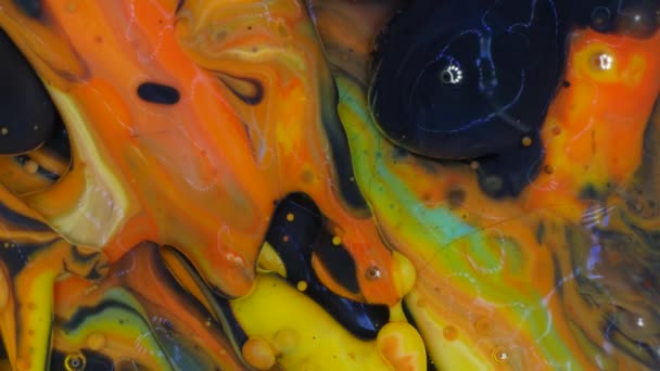 Fantastic Patterns of Paints — Stock Video