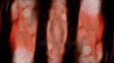 Fantastik desenler renkler ve boyalar