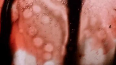 Fantastik desenler renkler ve boyalar