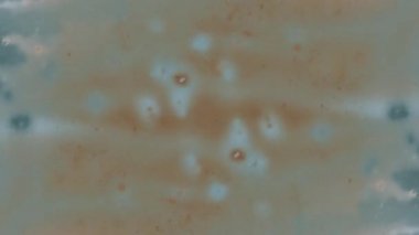 Fantastik desenler renkler ve boyalar