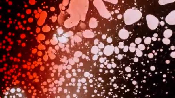 Fantastiques motifs de couleurs et de peintures 