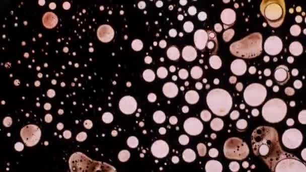 Fantastiques motifs de couleurs et de peintures 