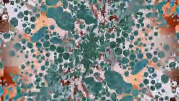 Fantastiques motifs de couleurs et de peintures — Video