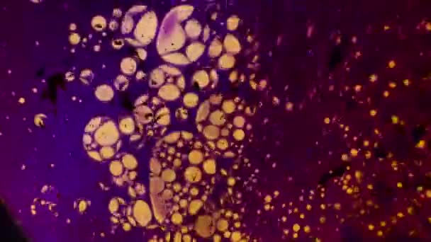 Kaléidoscope de couleurs 