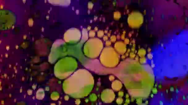 色の万華鏡。抽象的な Patterns.microscopic ビュー — ストック動画