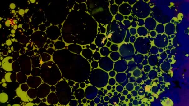 Kaleidoscope of Colors . Abstract Patterns.microscopic View — Stock Video