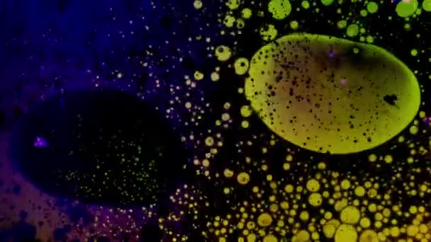Caleidoscopio de colores. Abstract Patterns.microscópico Ver — Vídeo de stock