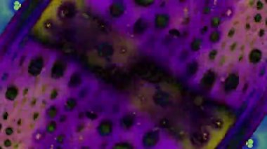 Kaleydoskop renk. Soyut Patterns.microscopic görünümü