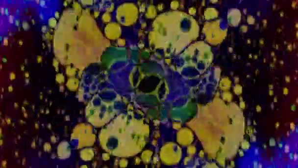 Caleidoscopio di colori. Schemi astratti.Vista microscopica — Video Stock