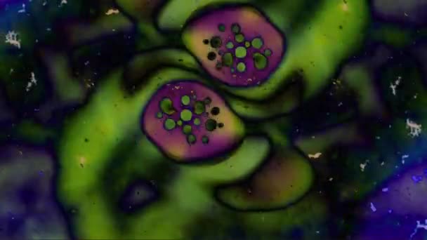 Калейдоскоп квітів — стокове відео