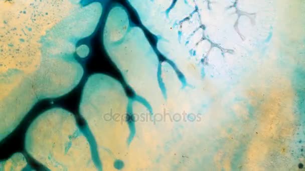 Калейдоскоп Цветов Abstract Patterns Ink Water Копический Взгляд — стоковое видео