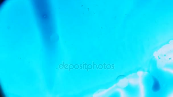 色の万華鏡 水の中のインクの抽象的なパターン 顕微鏡像 — ストック動画
