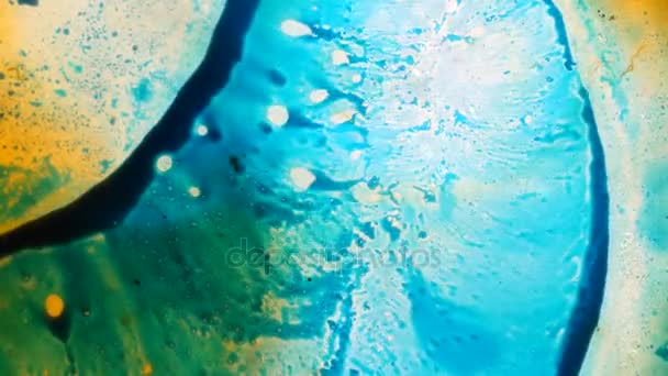 Kaleidoscope Colors Abstract Patterns Ink Water Microscopic View — Stock Video