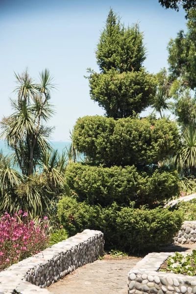Topiary garden in Batumi