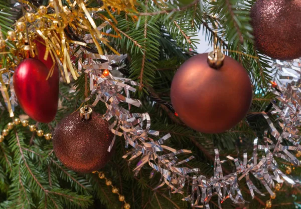 Decoraciones de Navidad en la rama . — Foto de Stock