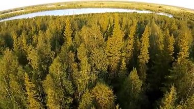 Göl ve orman üzerinde hava uçuş