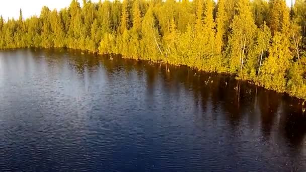 Aerial flight over the lake and forest — Stock Video