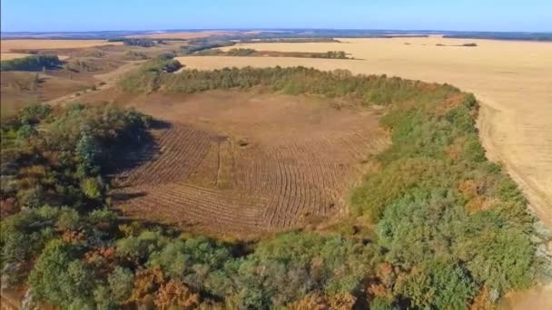 Letecký pohled na sklizené plochy zemědělských polí — Stock video